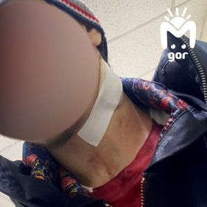 На сторожа, который ударил ножом ученика в школе Дербента, завели уголовное дело