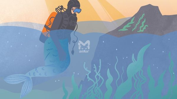 Русал обыкновенный: кому платят за водоросли и одинаковые цилиндры?