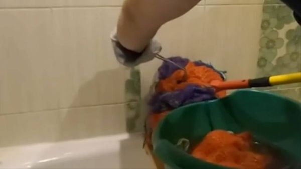 Змею в пакете обнаружила дачница из Благовещенска