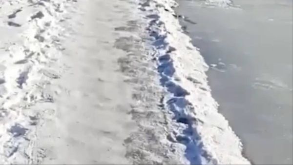 Каток из фекалий образовался на дороге в Хабаровске