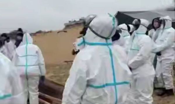 Мазут снова выбросило на берег Анапы и Темрюка