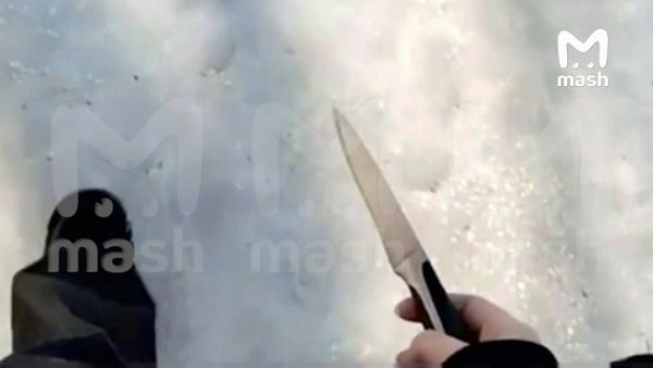 Шестиклассница в Воронеже пришла в школу с ножом и снимала всё на видео