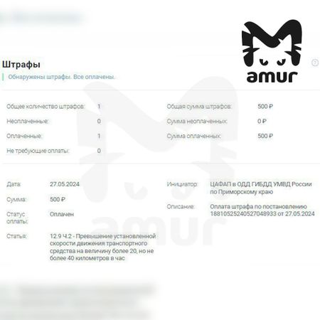 "Лексусом" мэра Дальнегорска, который паркуется на местах для инвалидов, интересуется прокуратура