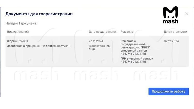 Уехавшая из России Чулпан Хаматова закрыла своё ИП, через которое получила 17 млн бюджетных рублей